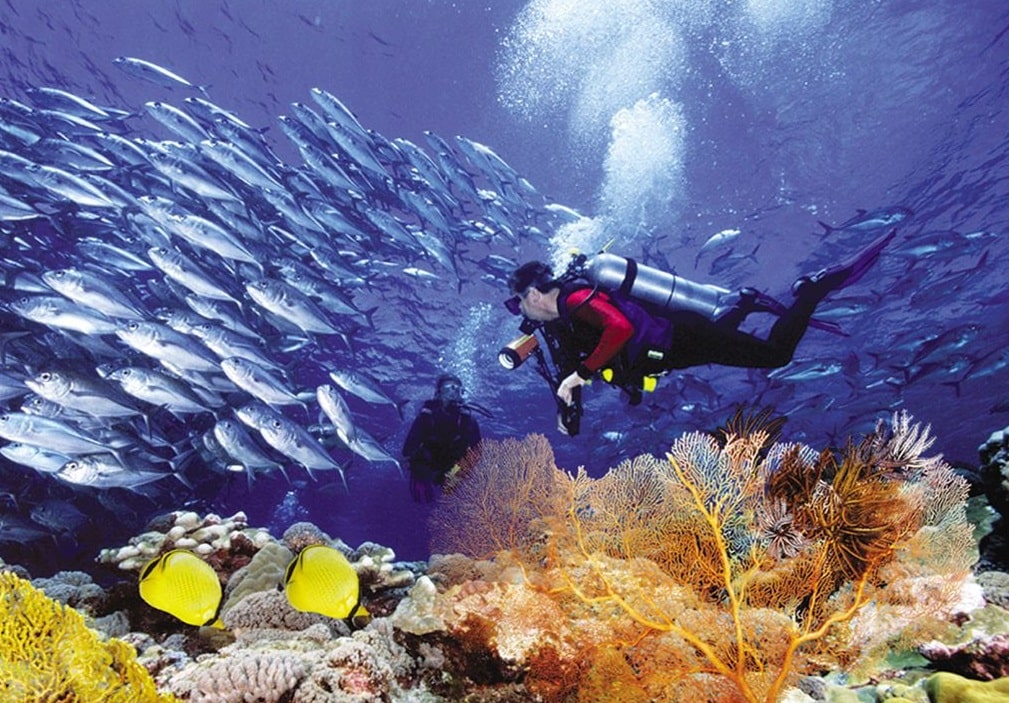 Buceo en Islas marietas