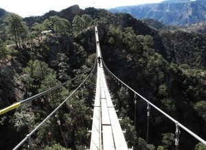 Puente colgante en el Parque de Barrancas del Cobre